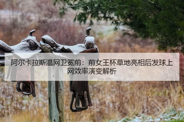 阿尔卡拉斯温网卫冕前：前女王杯草地亮相后发球上网效率演变解析