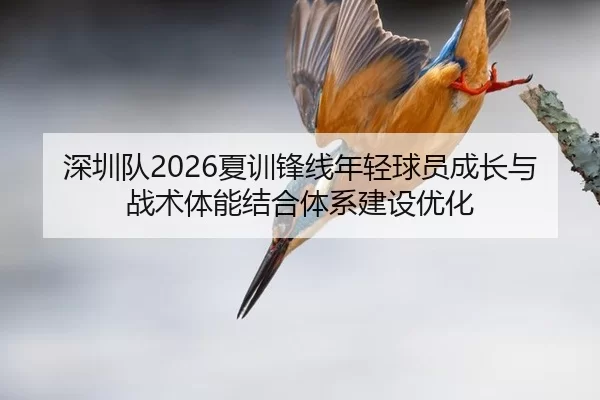 深圳队2026夏训锋线年轻球员成长与战术体能结合体系建设优化