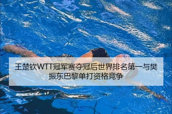 wang-chu-qin-guan-jun-sai-duo-guan-hou-shi-jie-pai-ming-di-yi-yu-fan-zhen-dong-ba-li-dan-da-zi-ge-jing-zheng-2-133.jpg