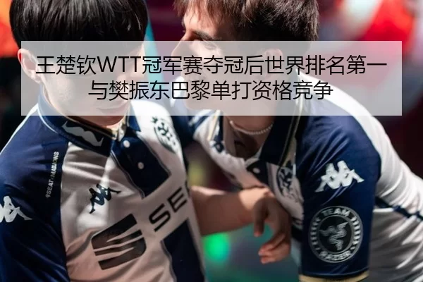 王楚钦WTT冠军赛夺冠后世界排名第一与樊振东巴黎单打资格竞争