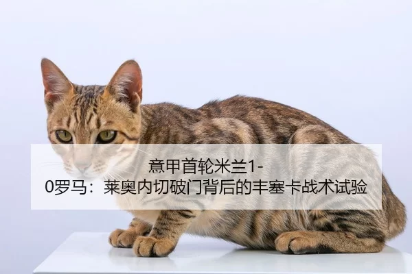意甲首轮米兰1-0罗马：莱奥内切破门背后的丰塞卡战术试验